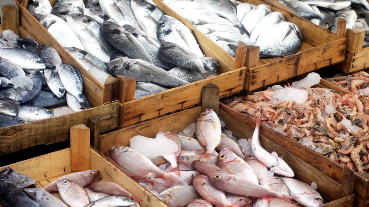 40-facts-about-fish-poisoning