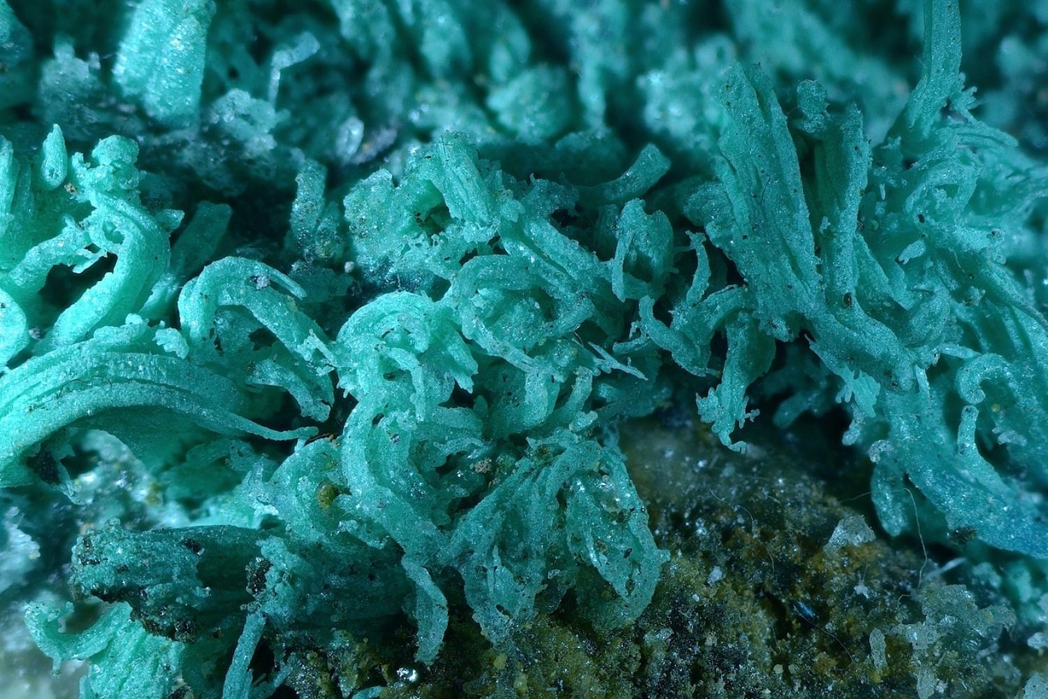 40-facts-about-goslarite