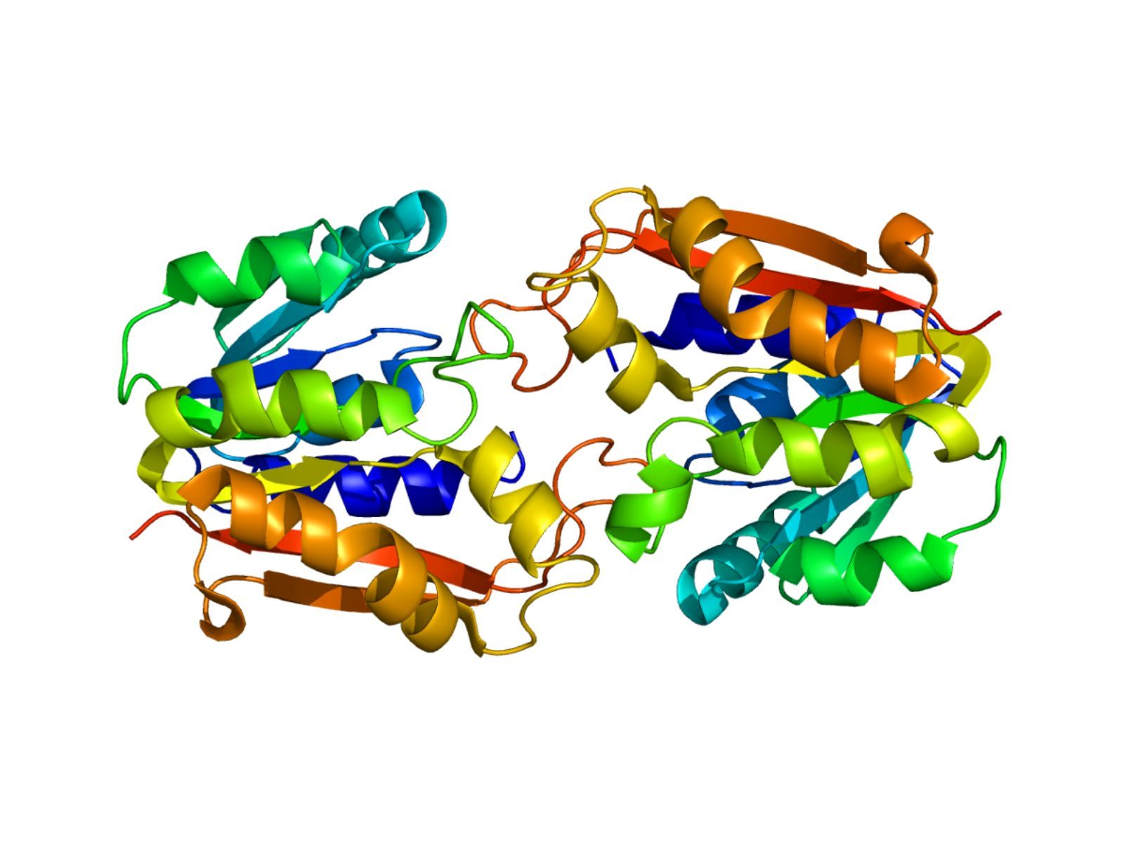 40-facts-about-guanidinoacetate-methyltransferase-deficiency