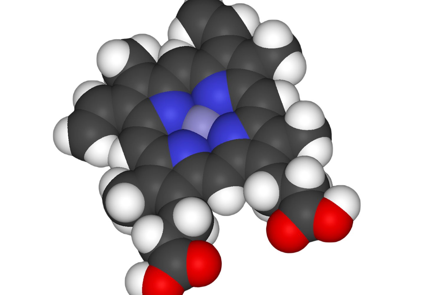 40-facts-about-hemoprotein