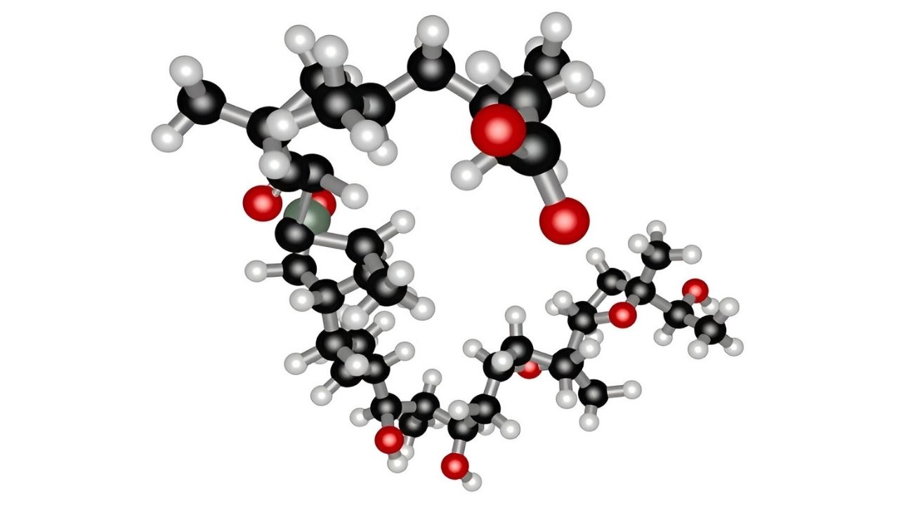 40-facts-about-ionomycin