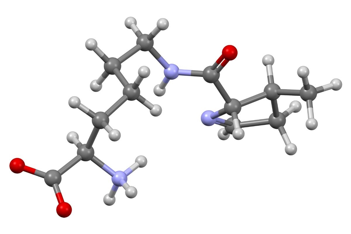 40-facts-about-pyrrolysine