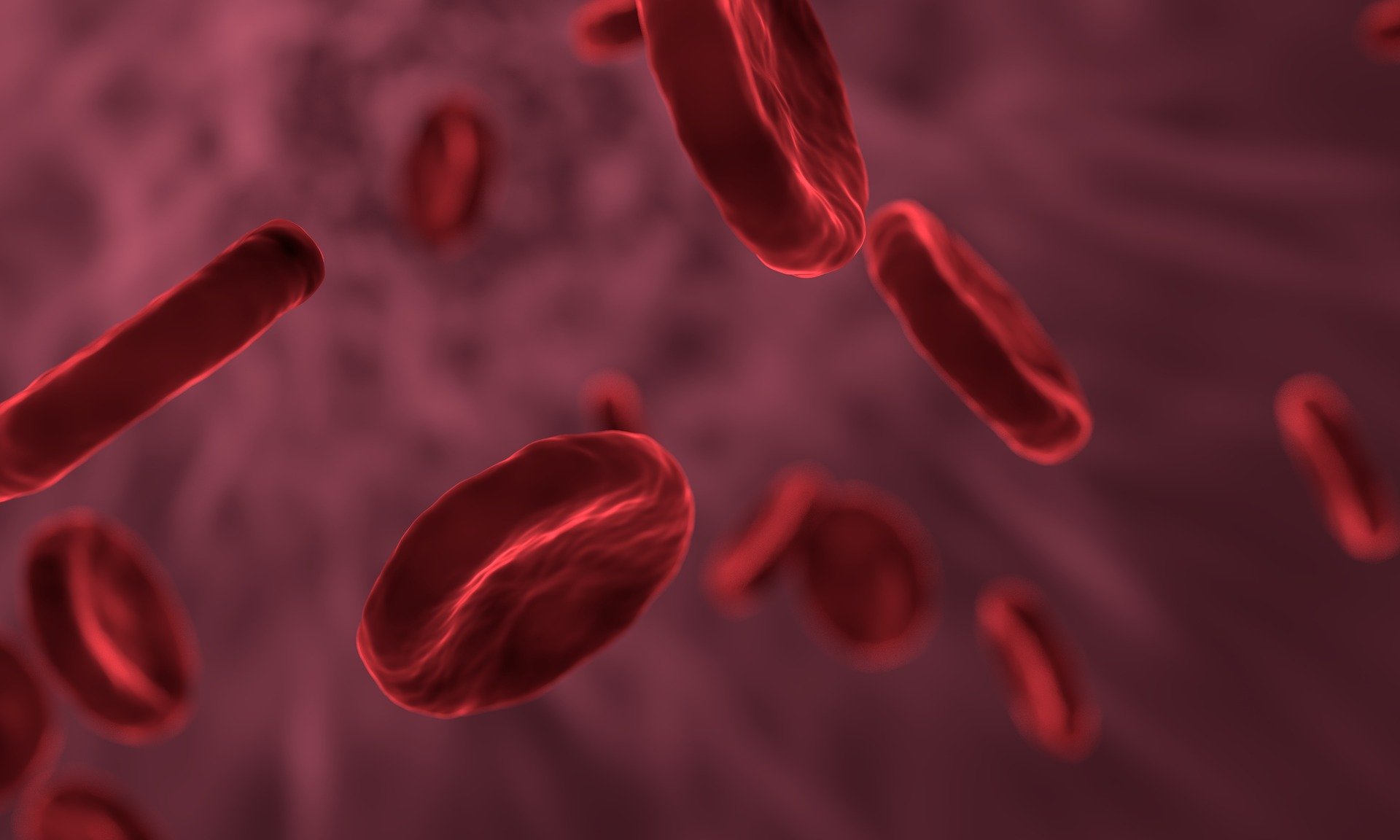 40-facts-about-transient-erythroblastopenia-of-childhood