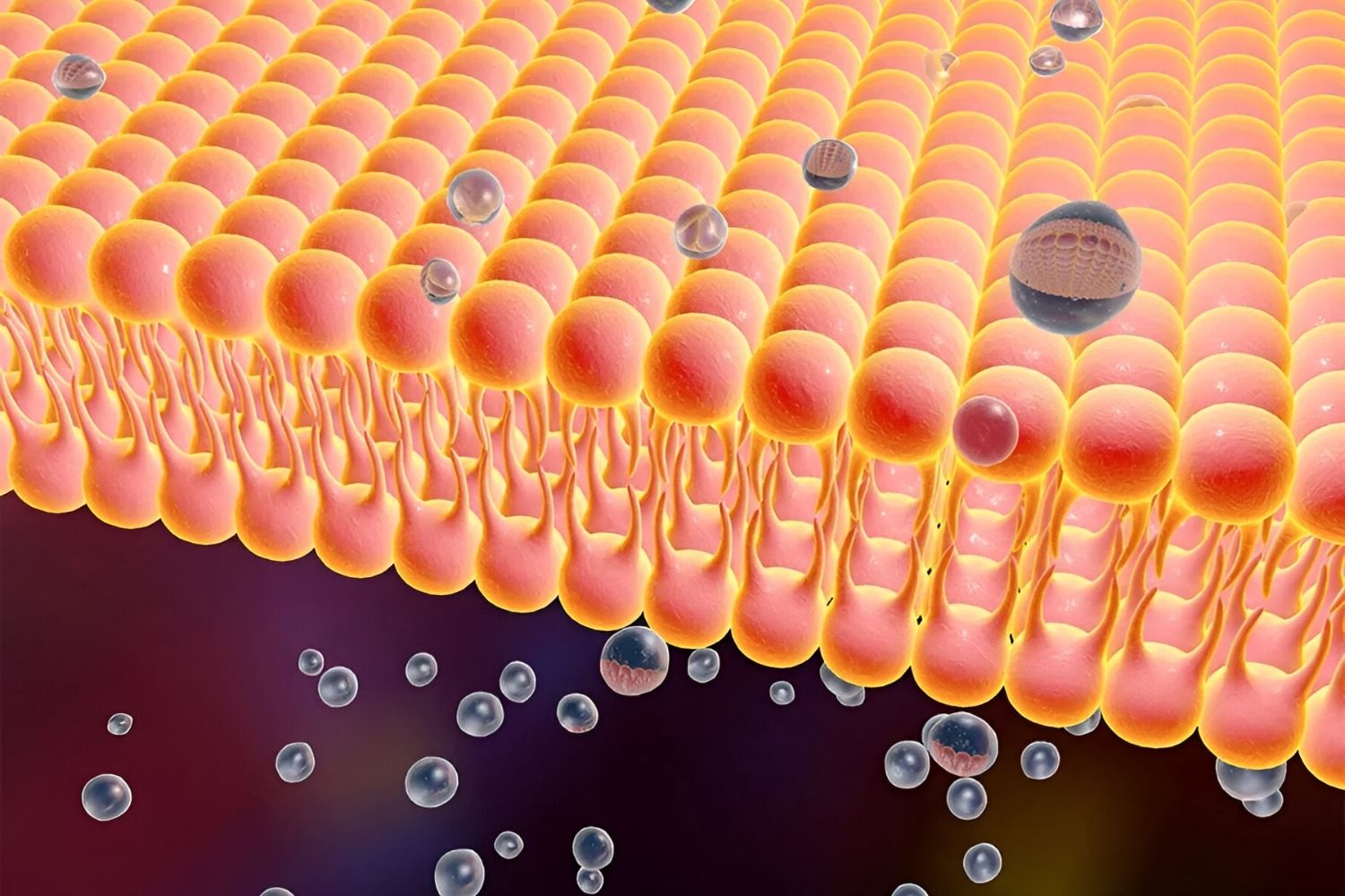 40-facts-about-transmembrane-receptor