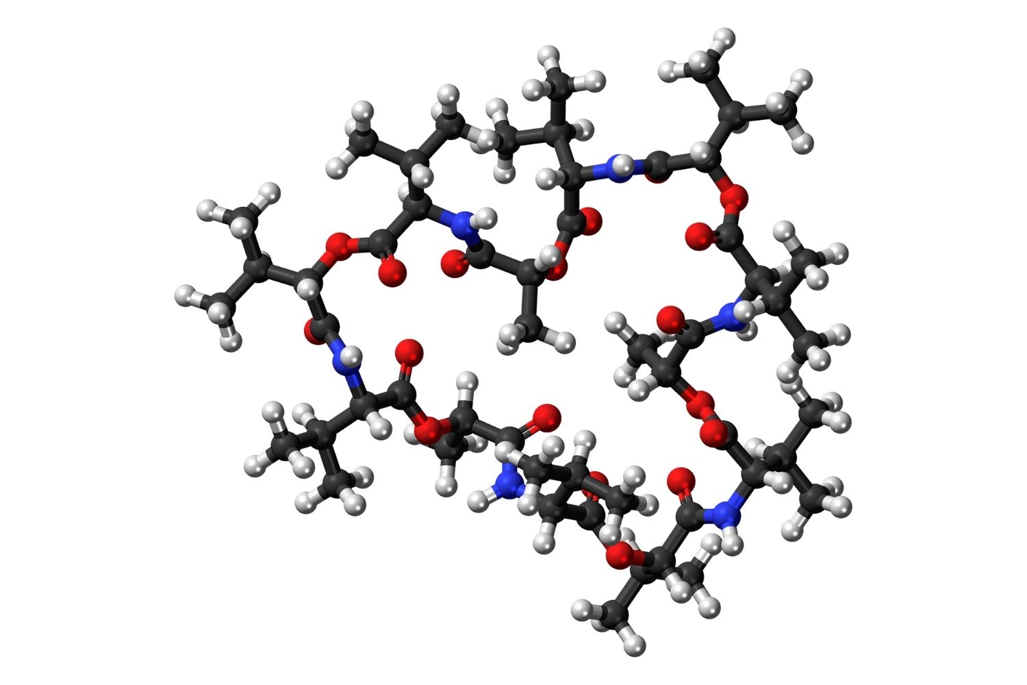 40-facts-about-valinomycin