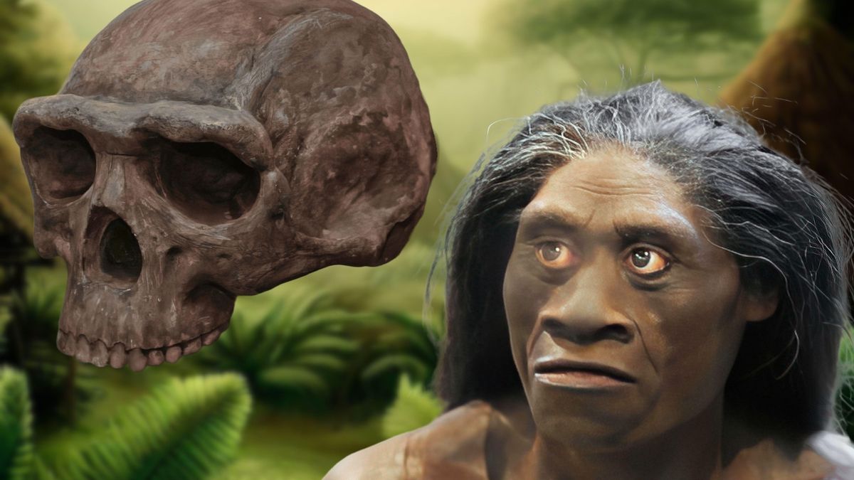 41-facts-about-homo-floresiensis