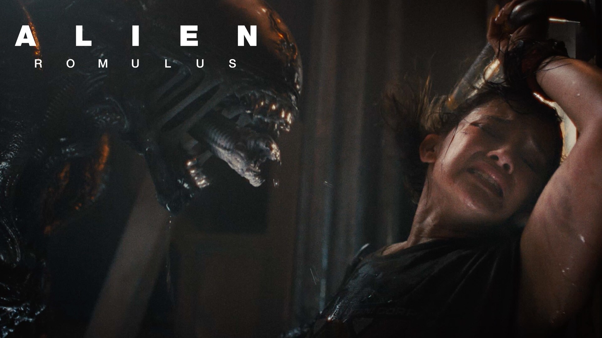 50-facts-about-alien-romulus