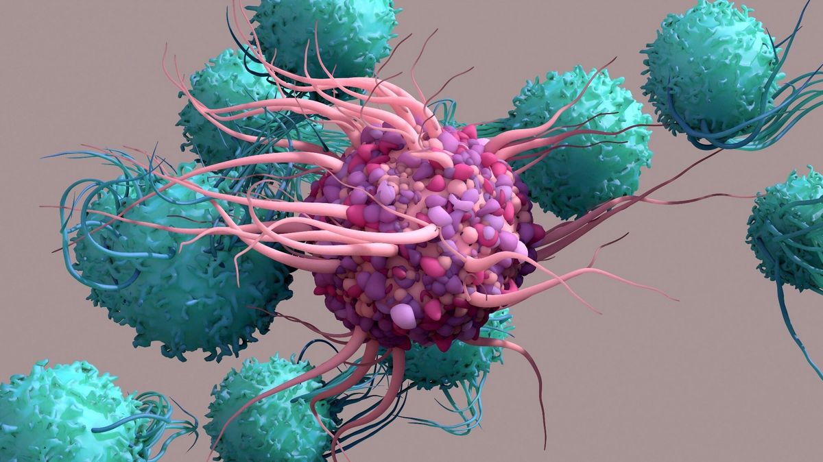 50-facts-about-dendritic-cells