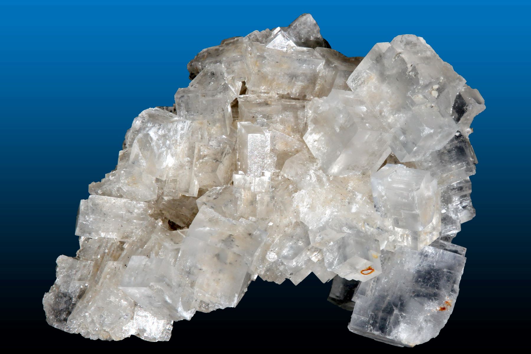 50-facts-about-halite