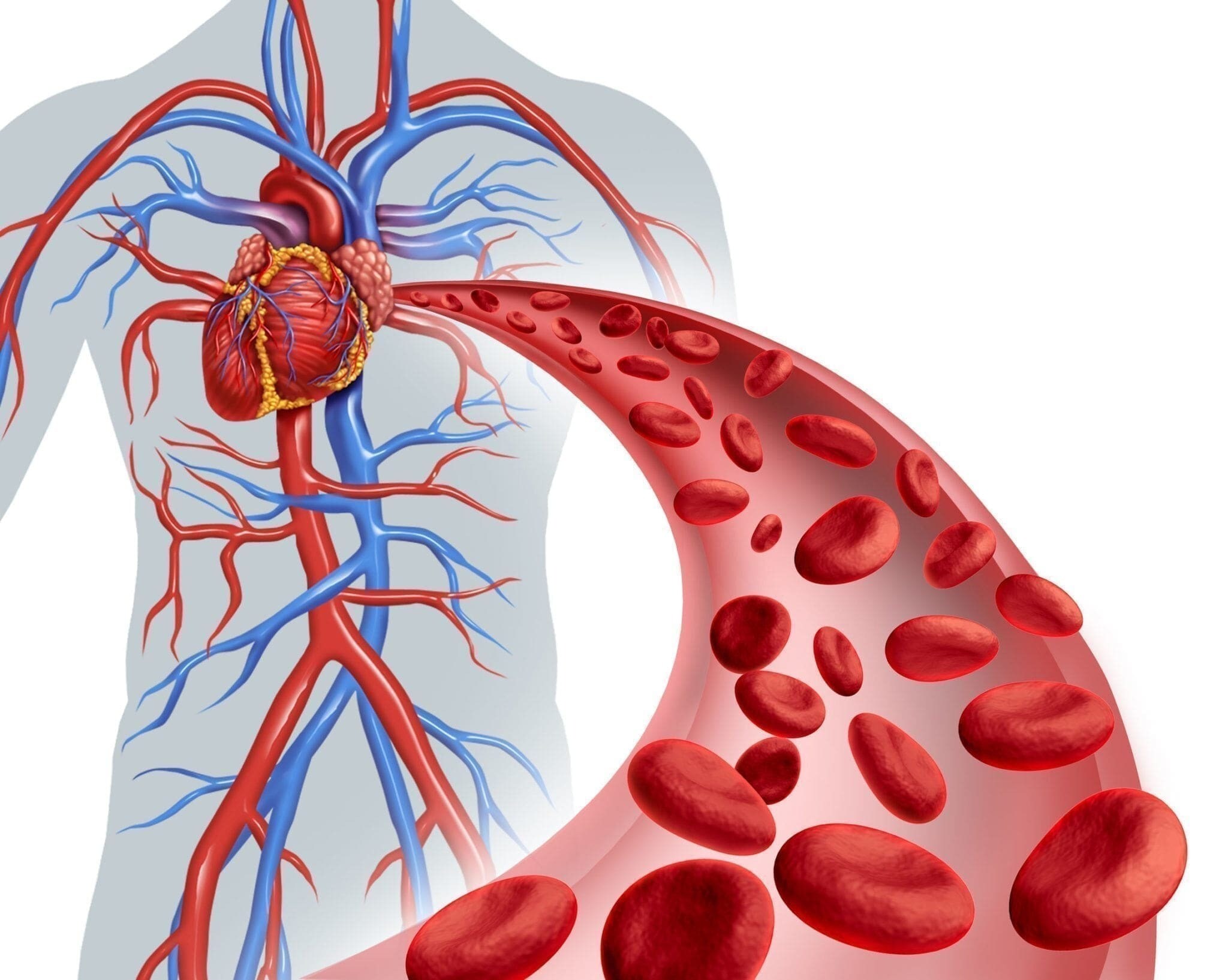 50-facts-about-homocysteine