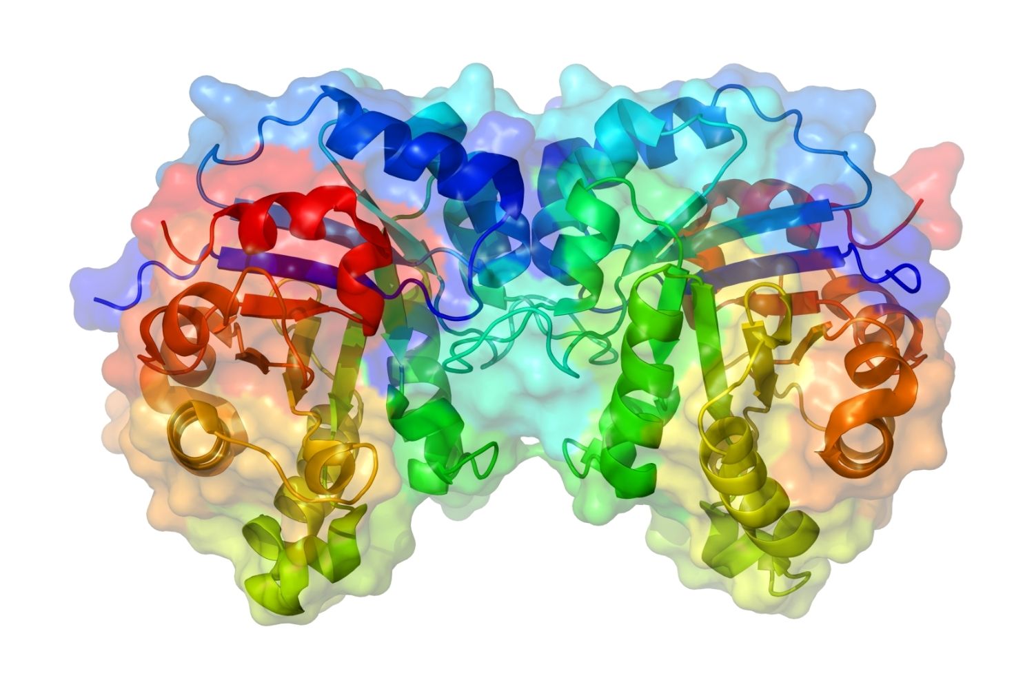 50-facts-about-isomerase