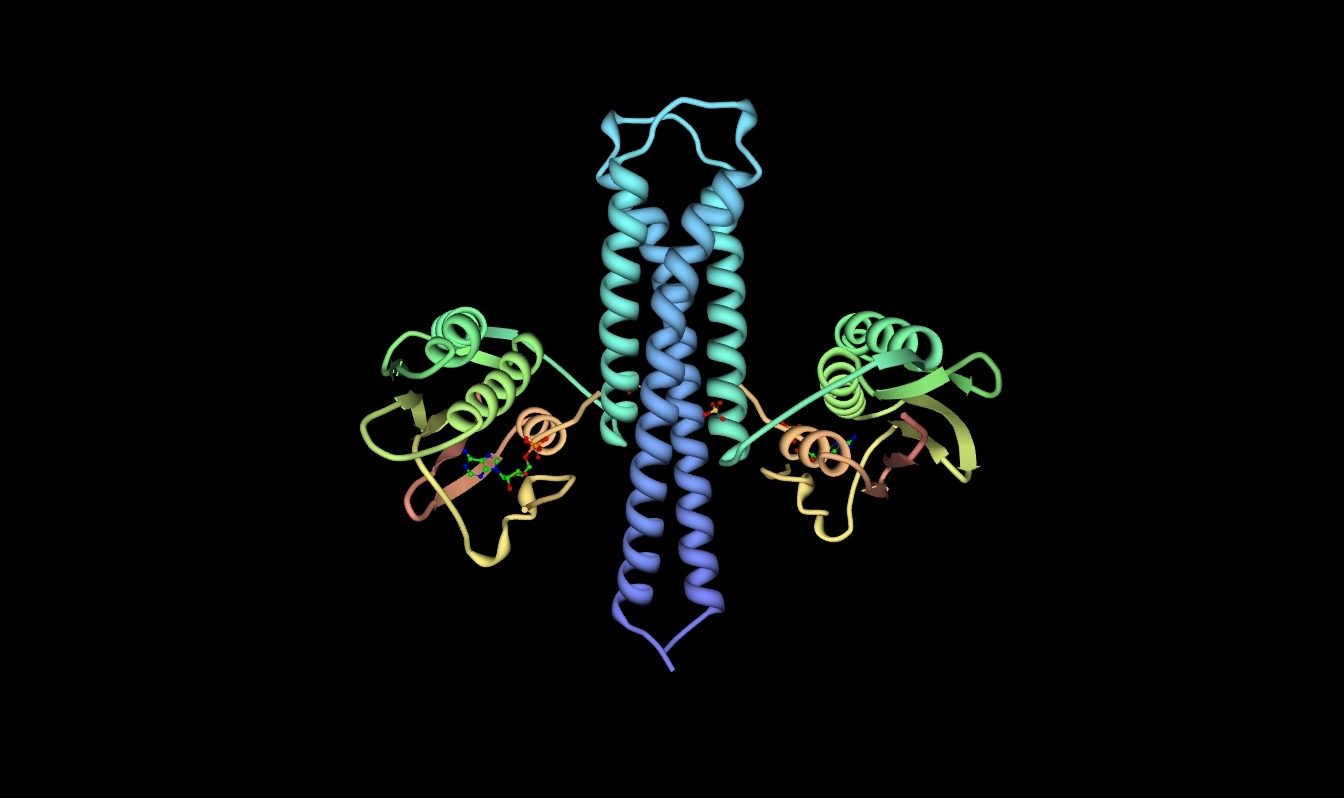 50-facts-about-kinase