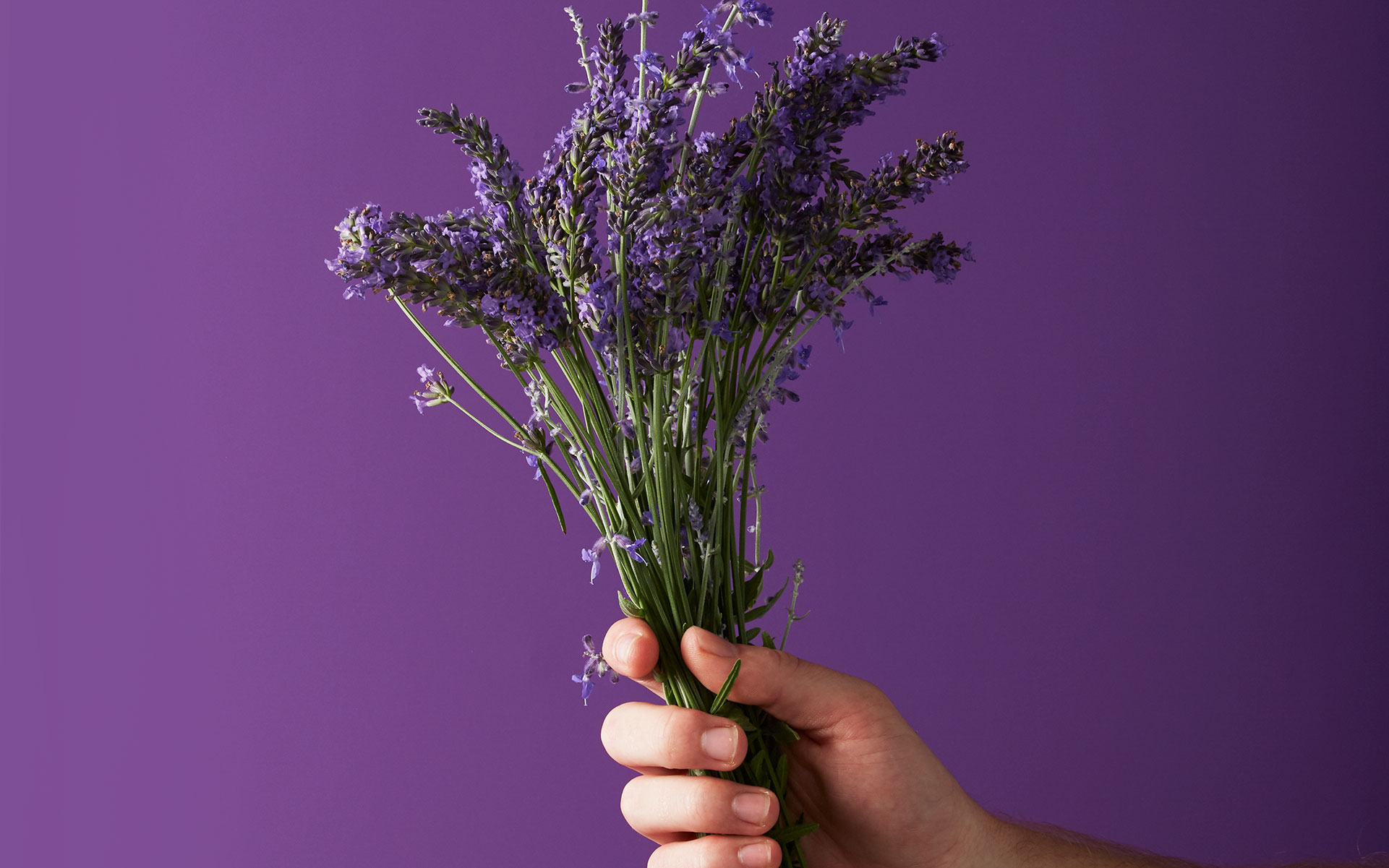 50-facts-about-linalool