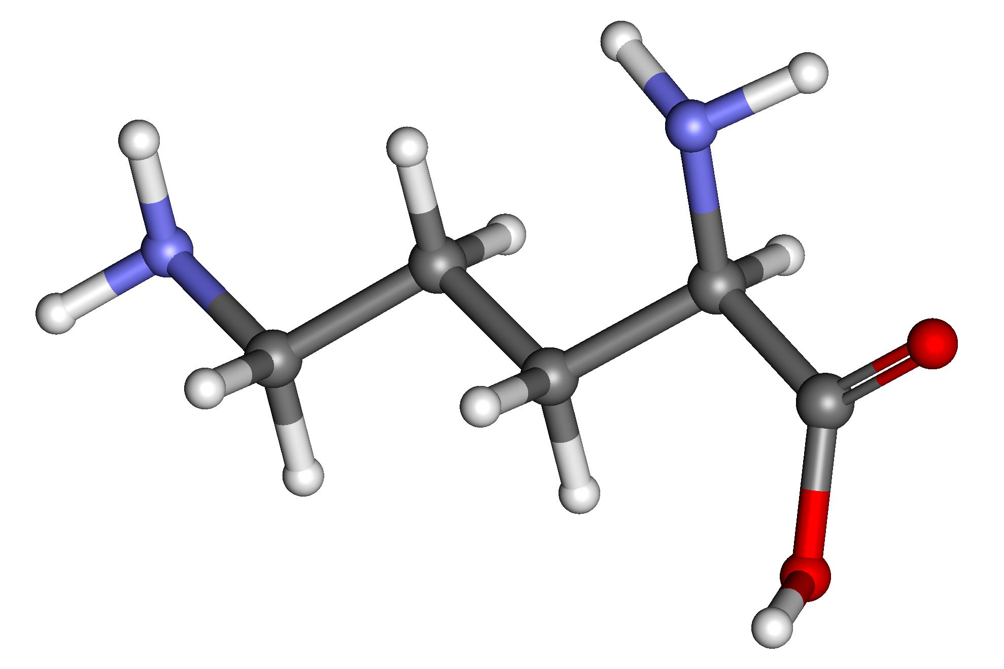 50-facts-about-ornithine