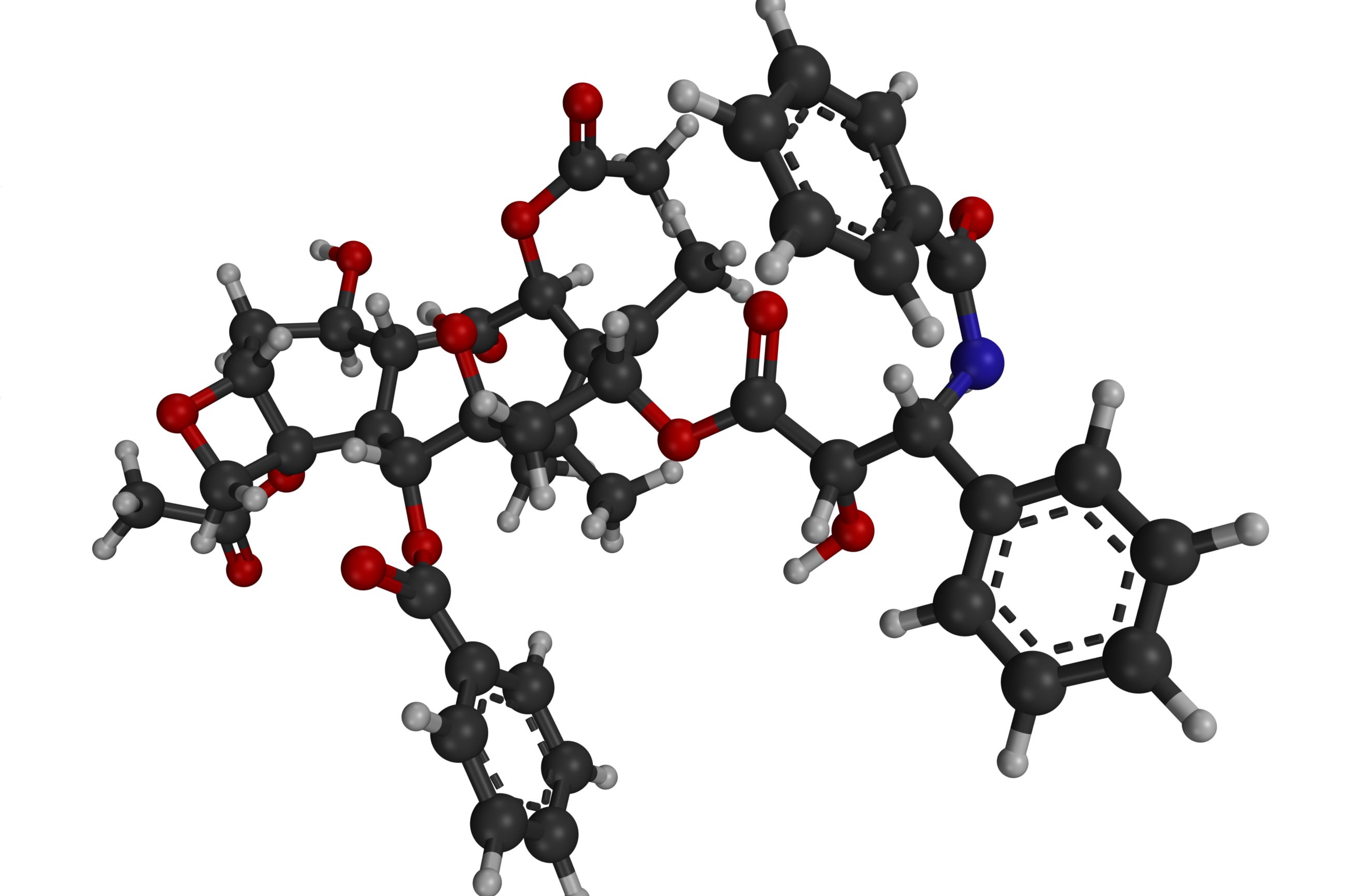 50-facts-about-paclitaxel