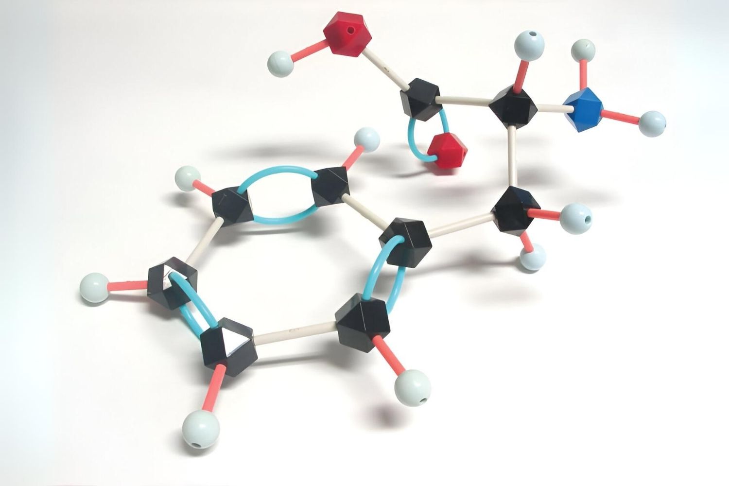 50-facts-about-phenylalanine