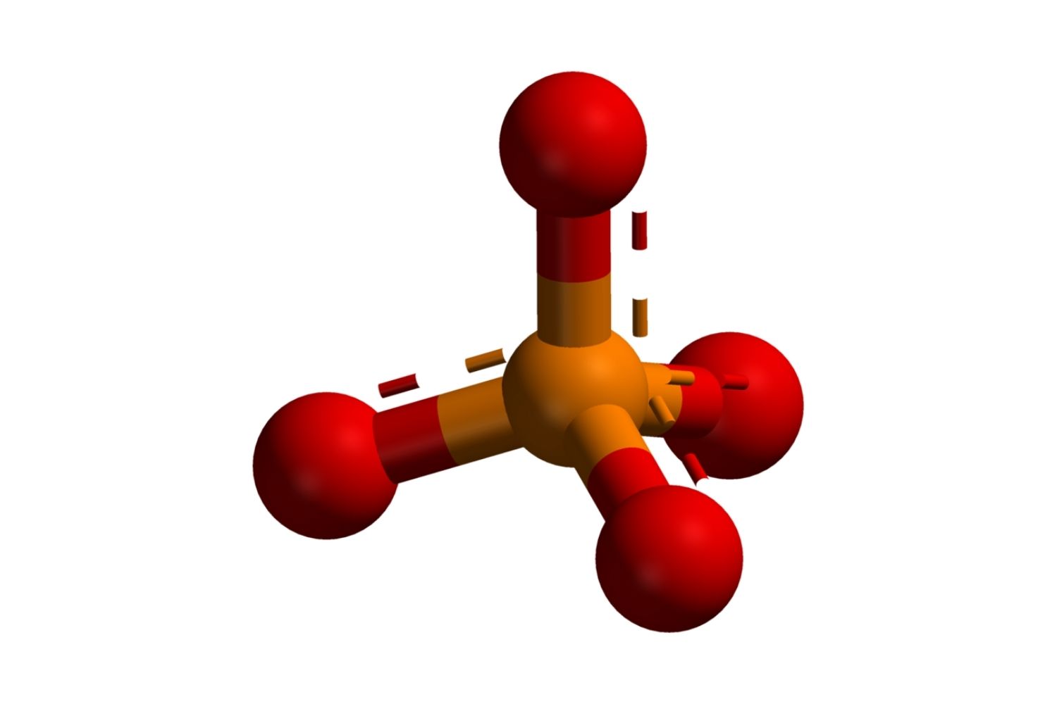 50 Facts About Phosphatase - Facts.net