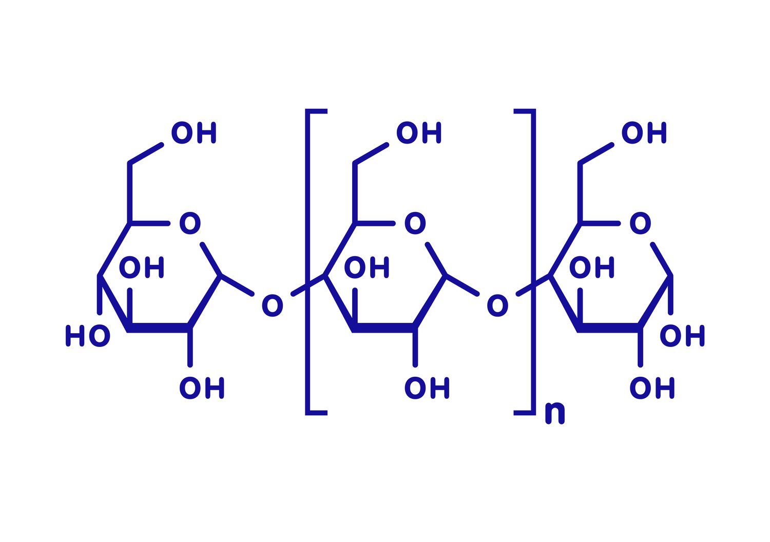 50-facts-about-polysaccharides