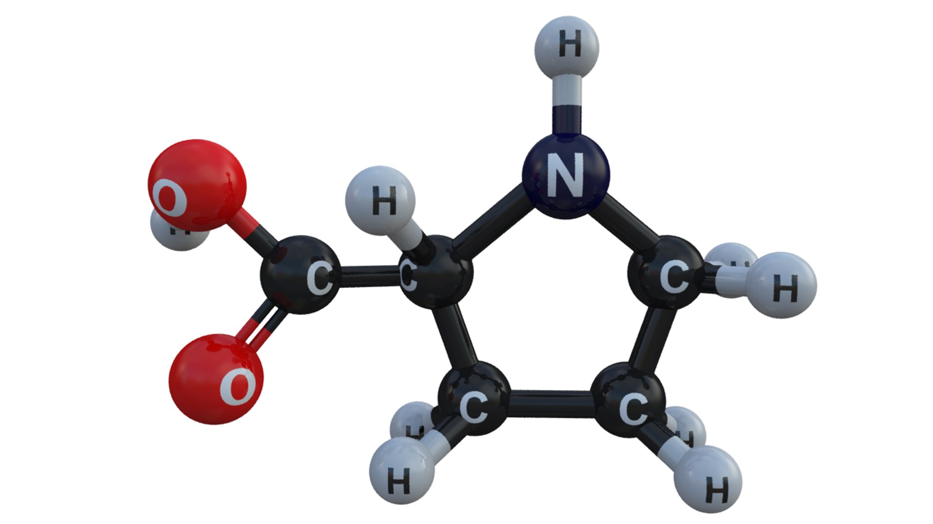 50-facts-about-proline