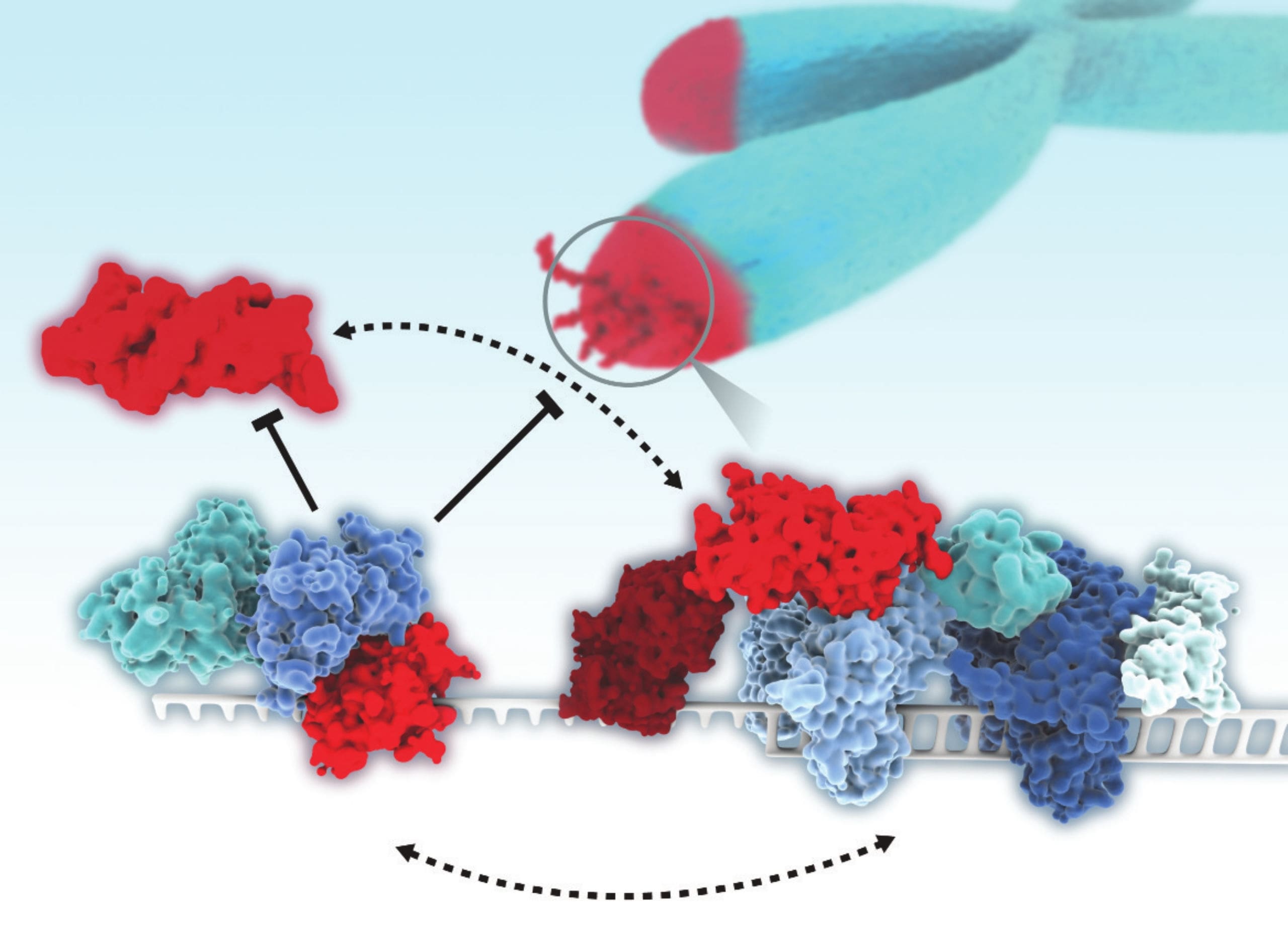 50-facts-about-reverse-transcriptase