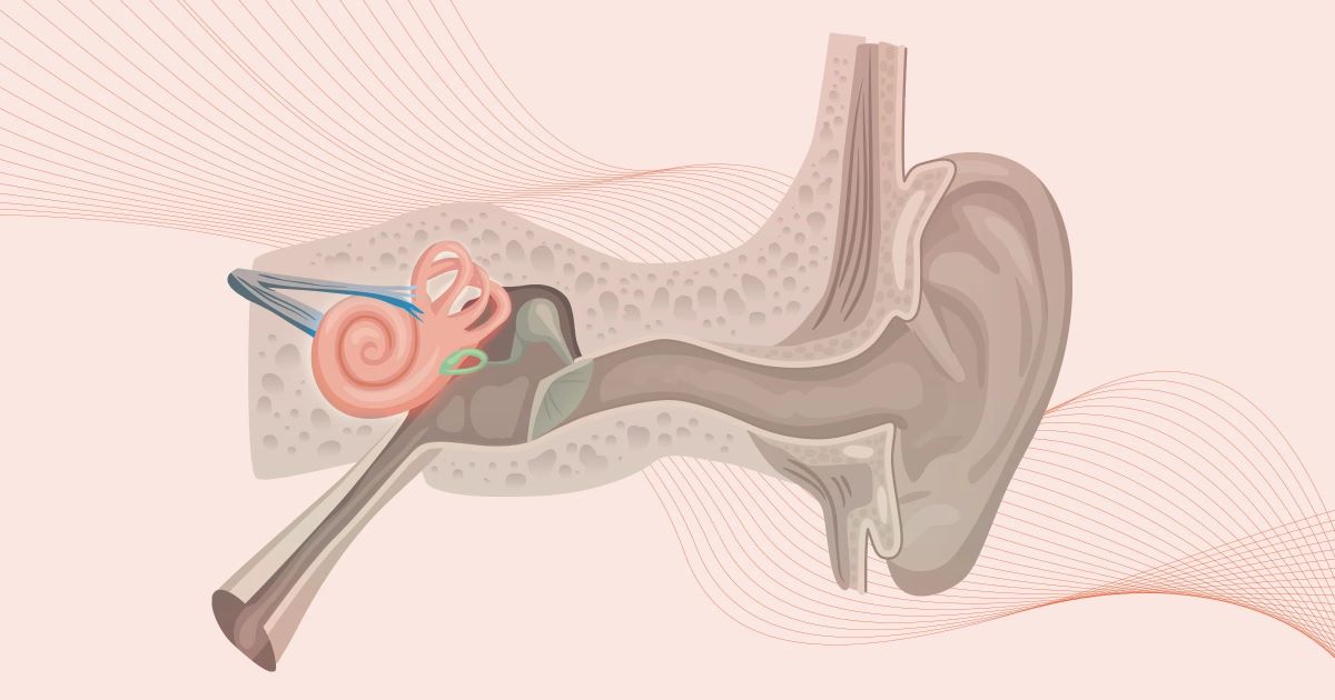 50-facts-about-sensorineural-hearing-loss