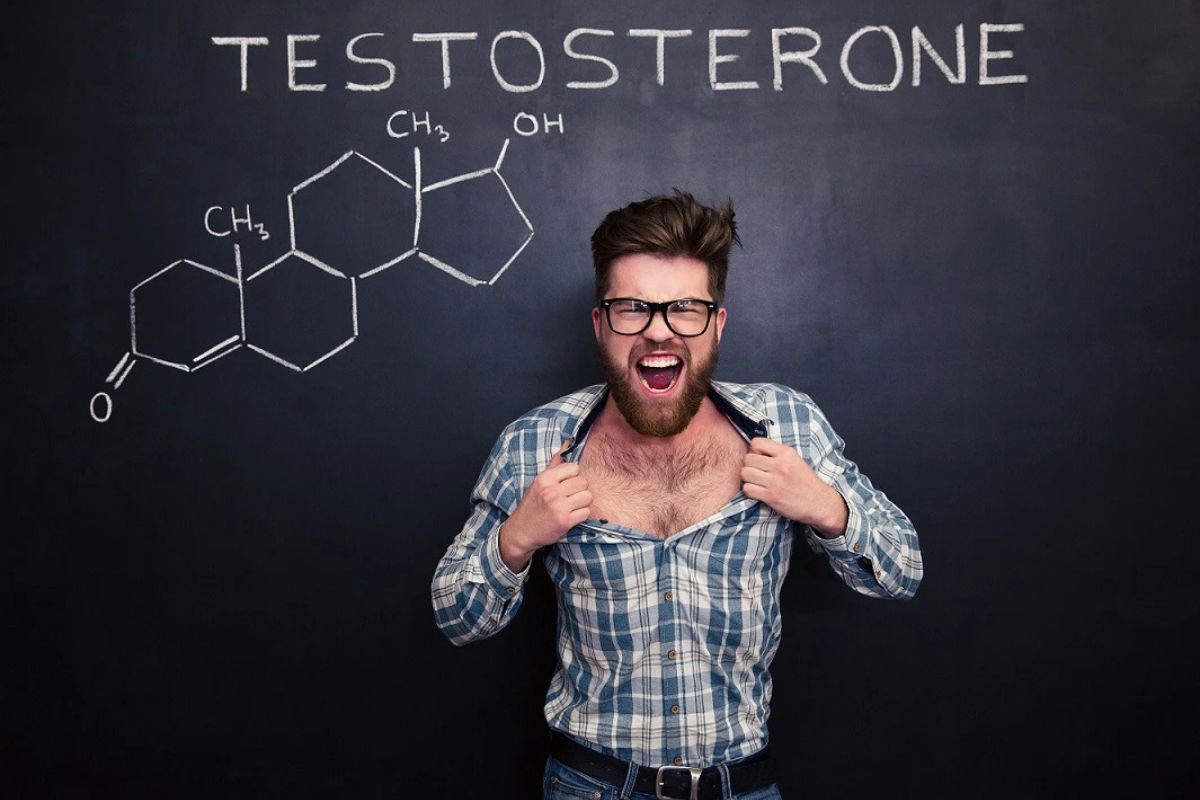 50-facts-about-testosterone