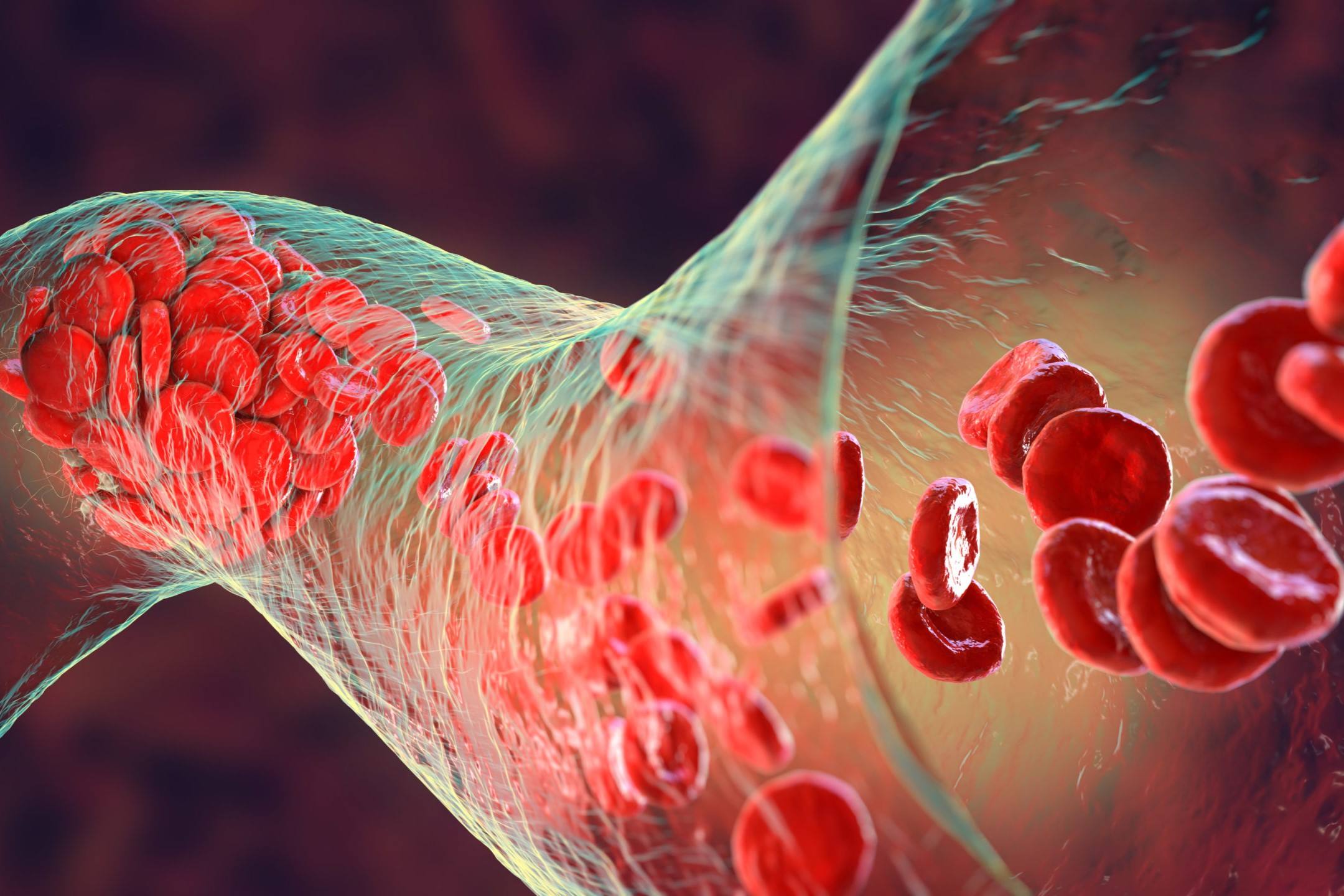 50-facts-about-thrombopoietin