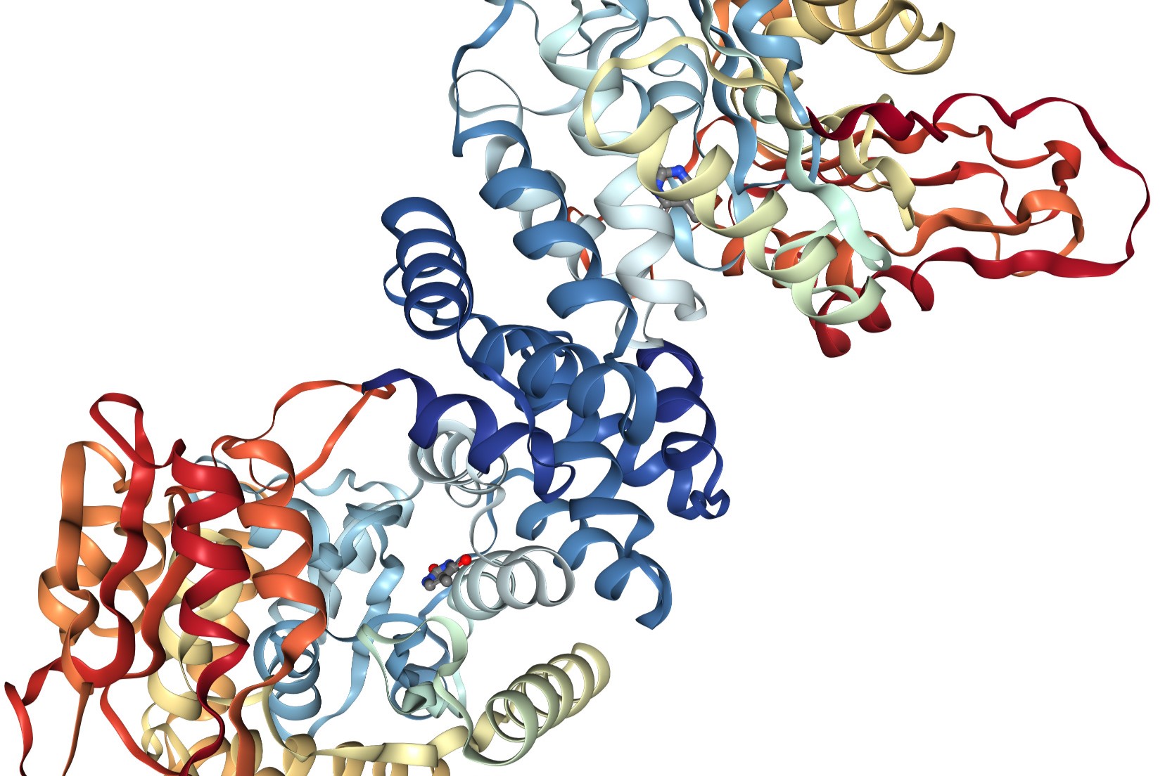 50-facts-about-thymidine