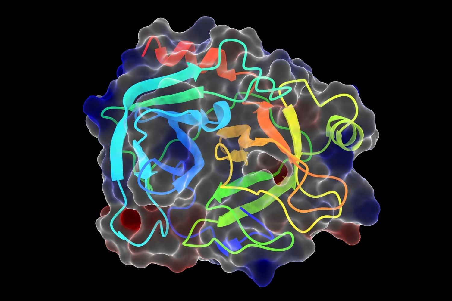 50-facts-about-trypsin