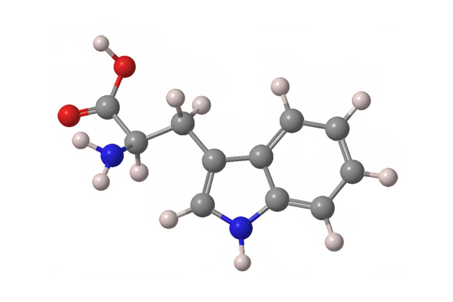 50-facts-about-tryptophan