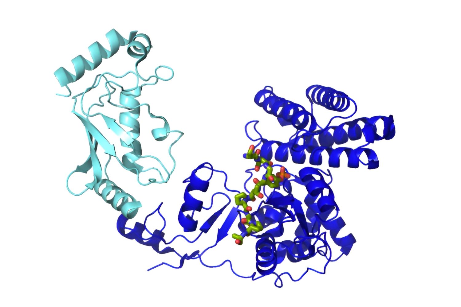 50-facts-about-ubiquitin