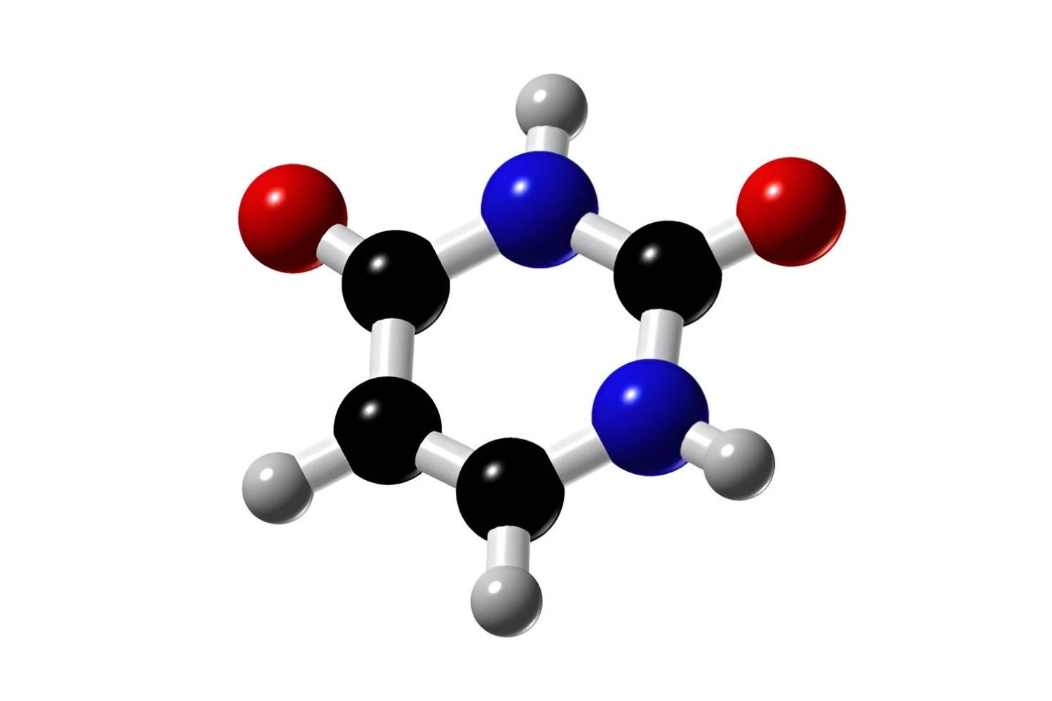 50-facts-about-uracil