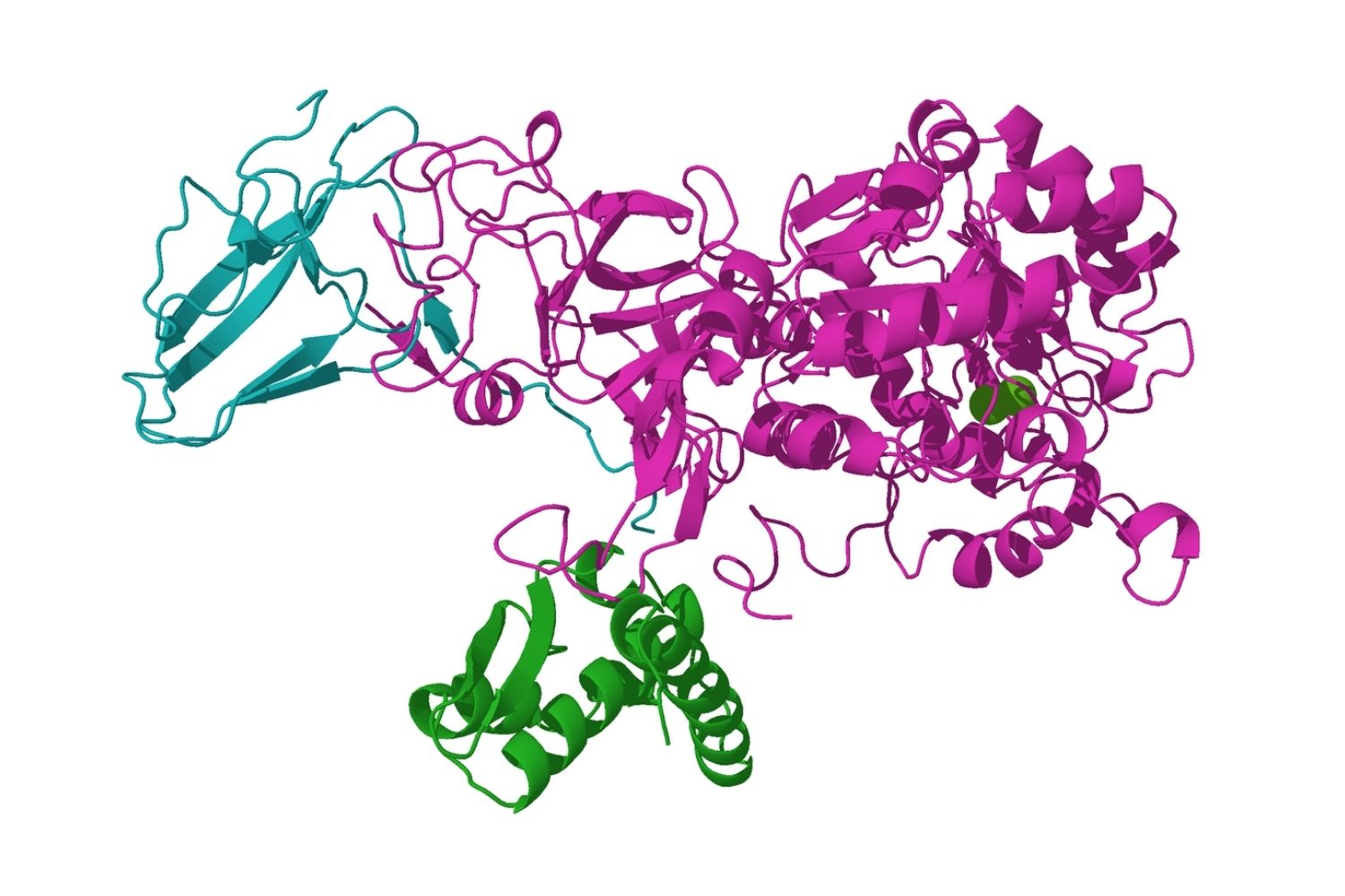 50-facts-about-urease