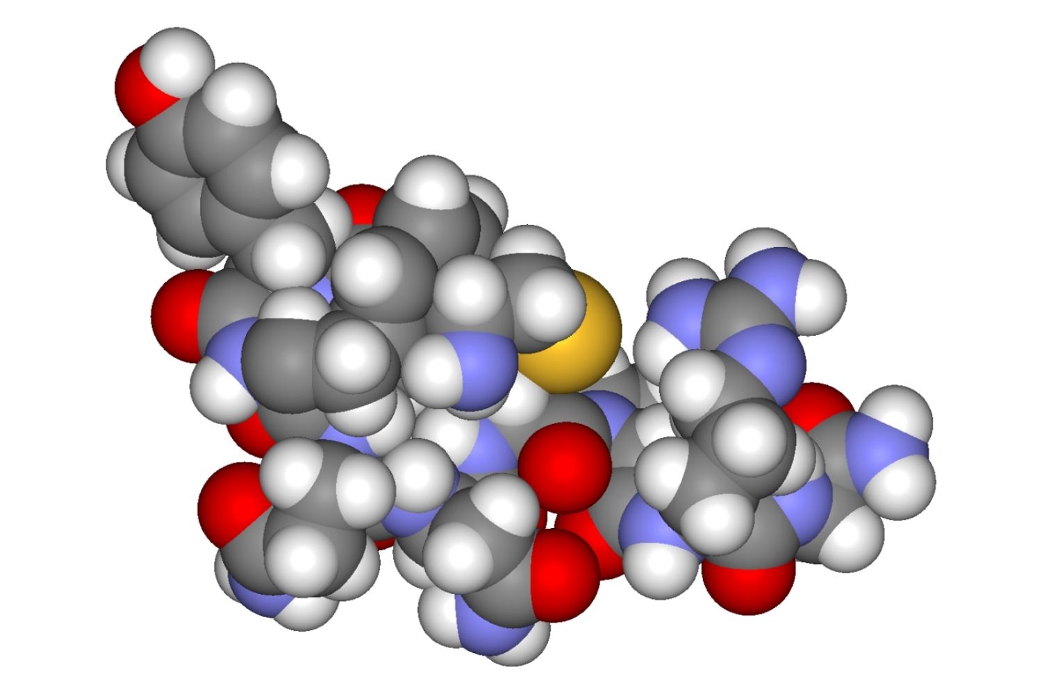 50-facts-about-vasopressin