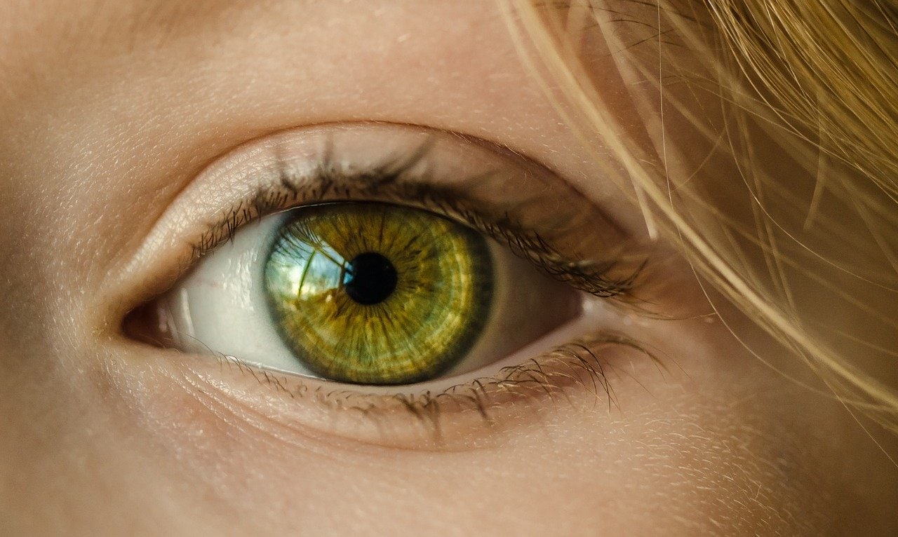 50-fascinating-facts-about-the-human-eye