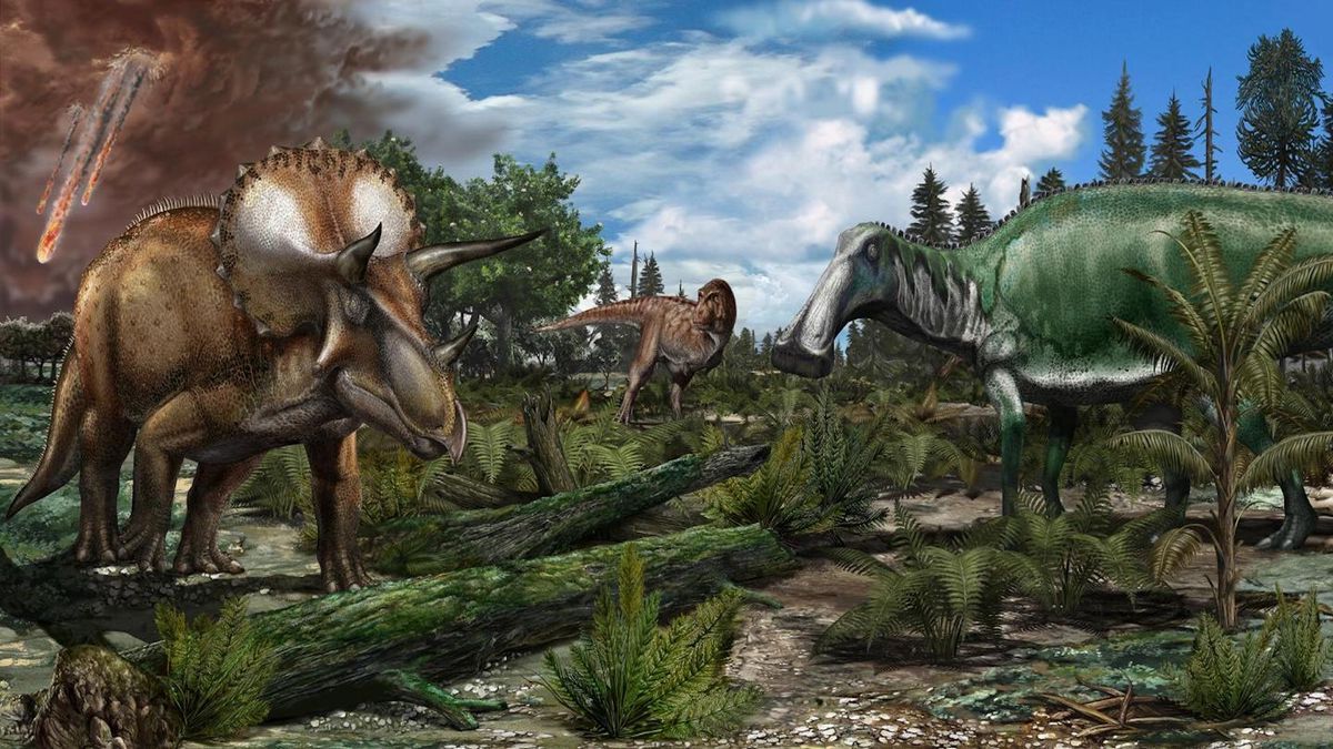 19-facts-about-dinosaur-evolution