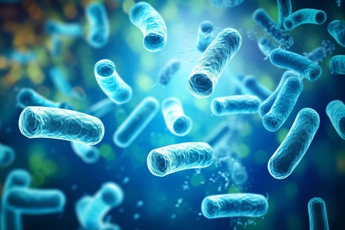 19-facts-about-lactobacillus