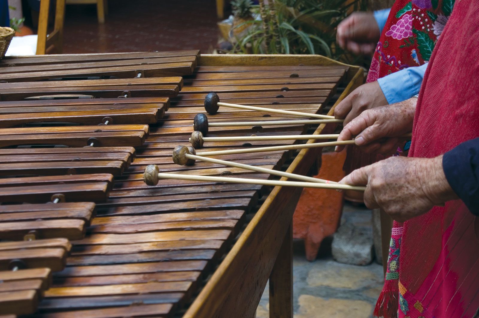 20-facts-about-marimba