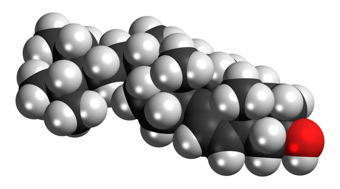 25-facts-about-7-dehydrositosterol