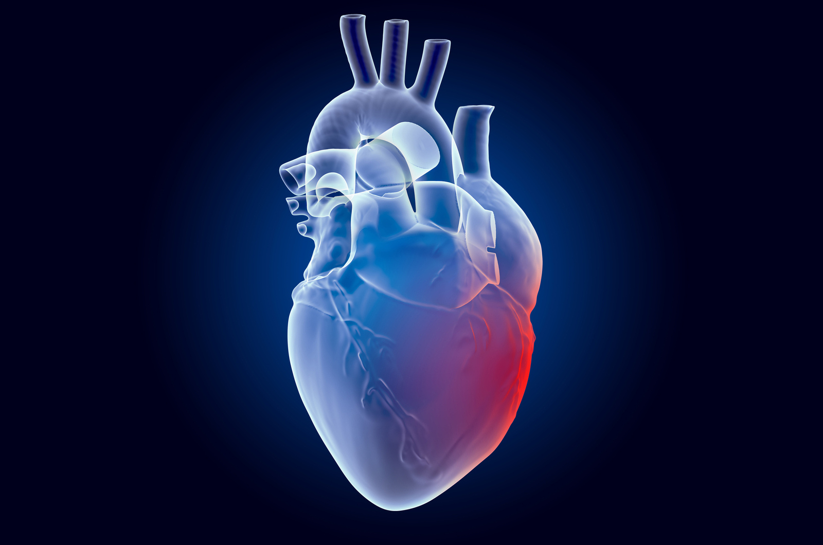 25-facts-about-conotruncal-heart-malformations