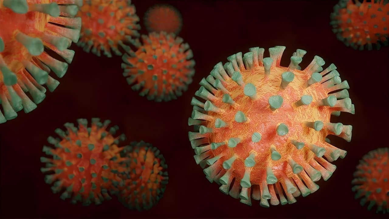 25-facts-about-herpesvirus-simiae-b-virus