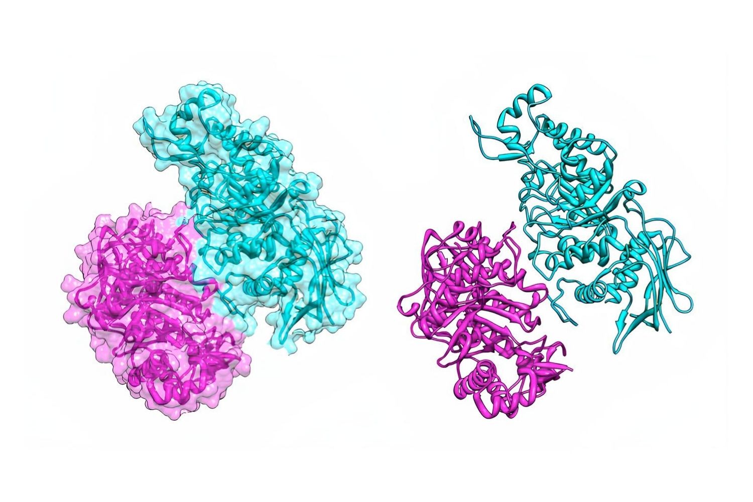 25-facts-about-hexosaminidases-a-and-b-deficiency