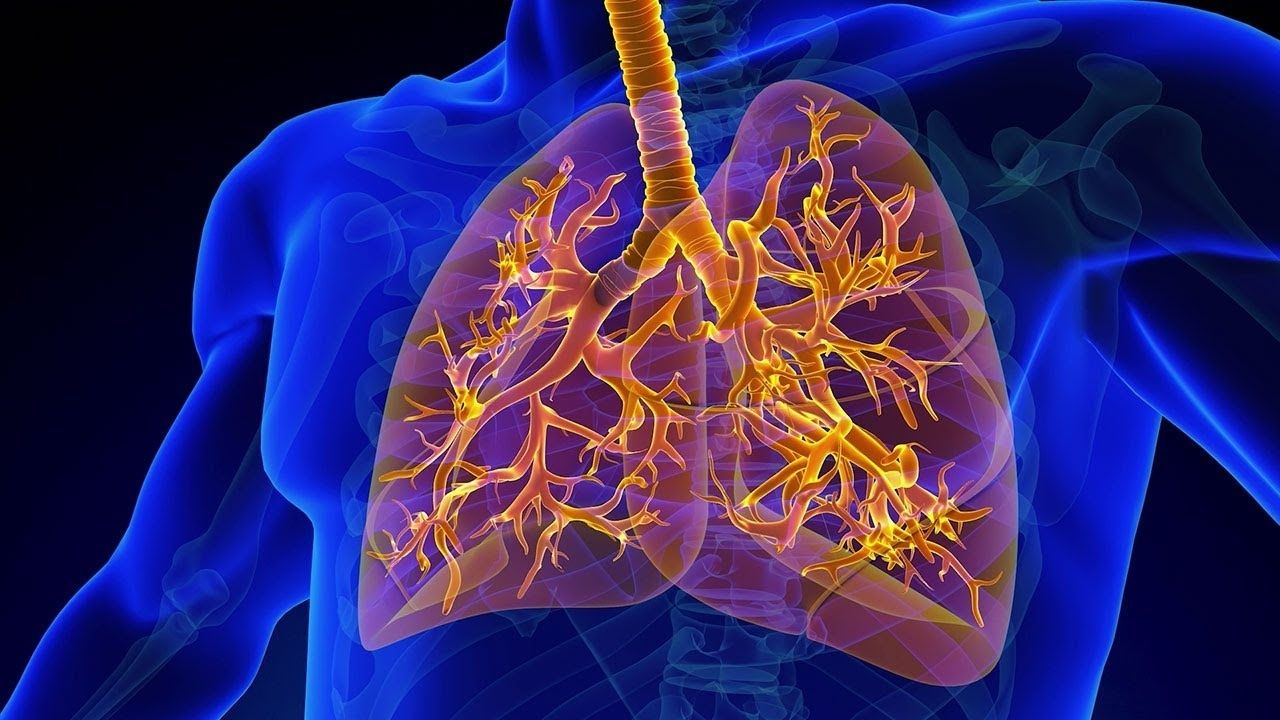 25-facts-about-hyperphalangism-dysmorphy-bronchomalacia