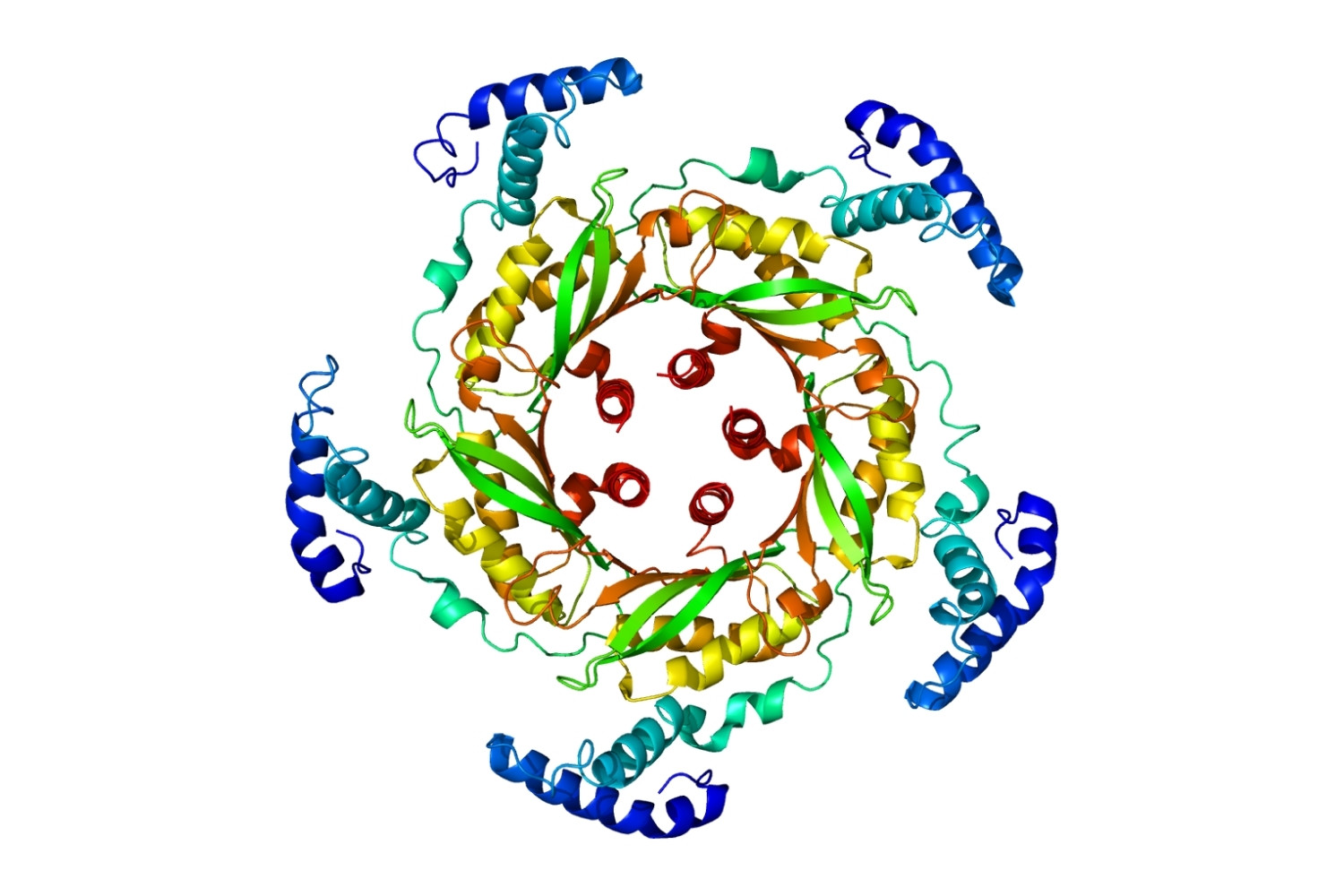 25-facts-about-hyperphenylalaninemia-due-to-gtp-cyclohydrolase-deficiency