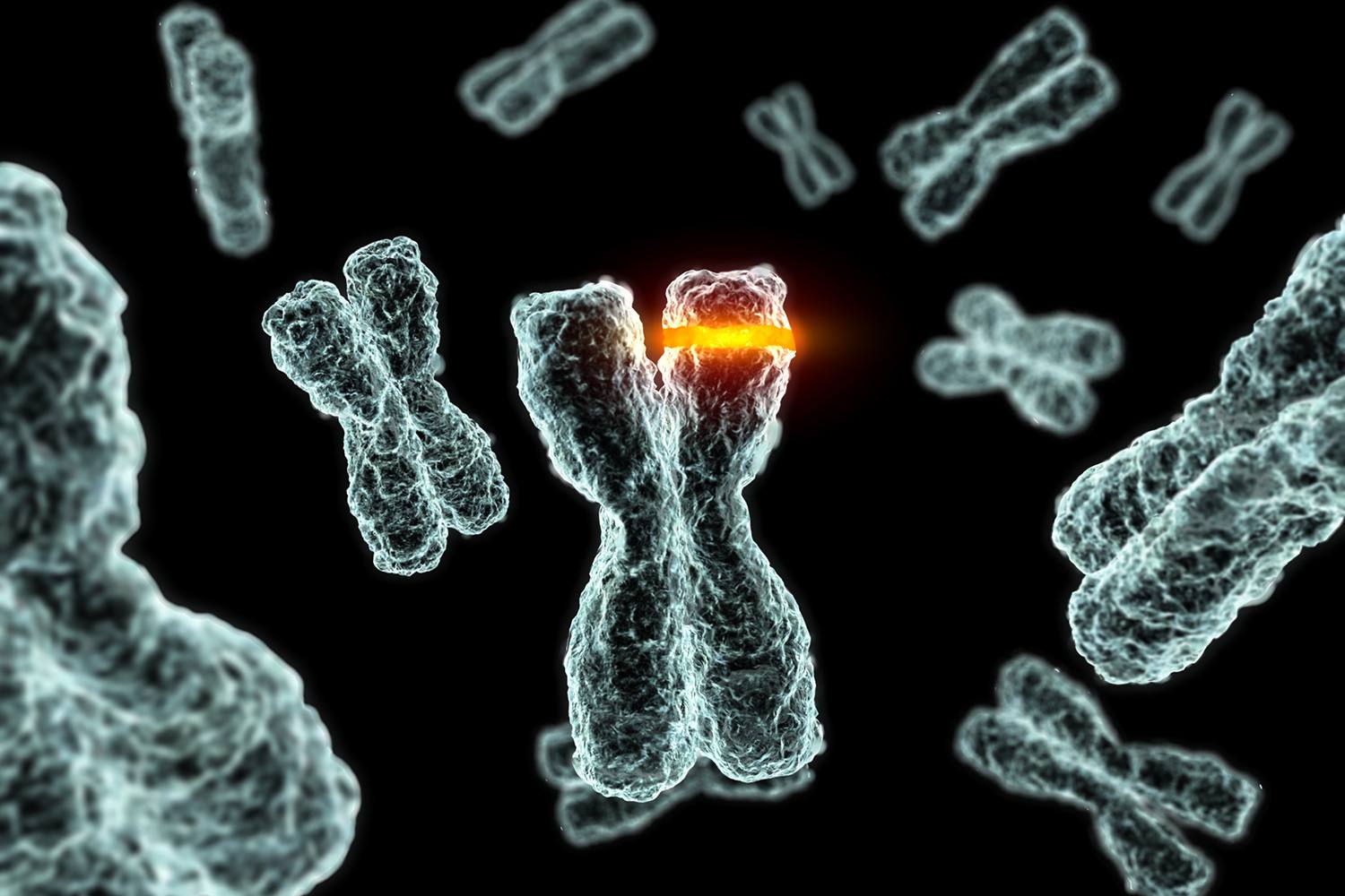 25-facts-about-male-pseudohermaphroditism-due-to-17-beta-hydroxysteroid-dehydrogenase-deficiency