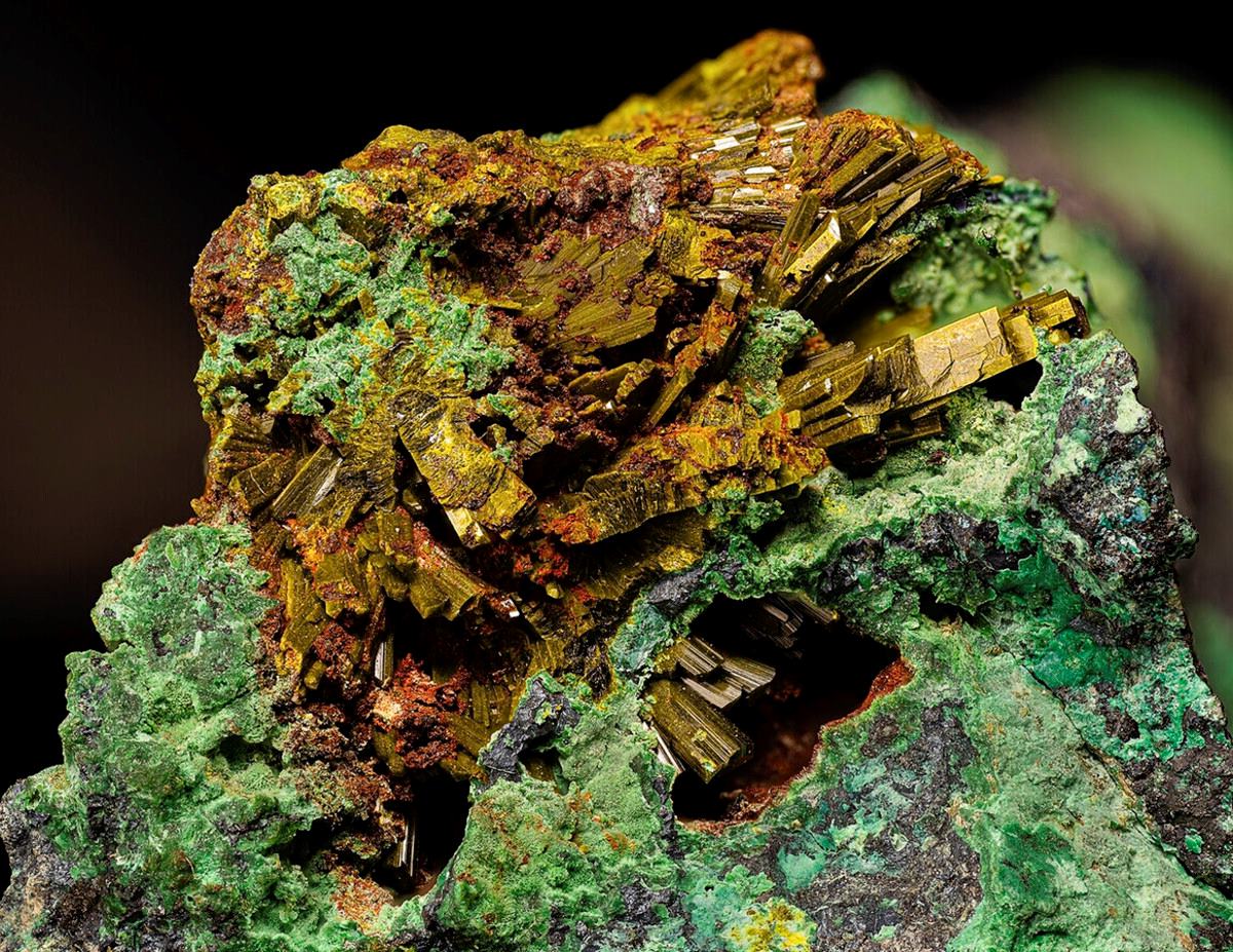 25-facts-about-marthozite