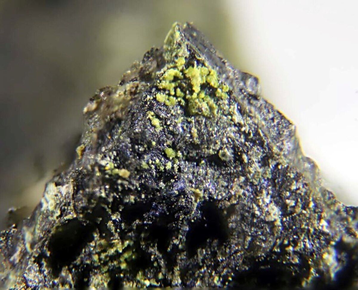 25-facts-about-mathesiusite