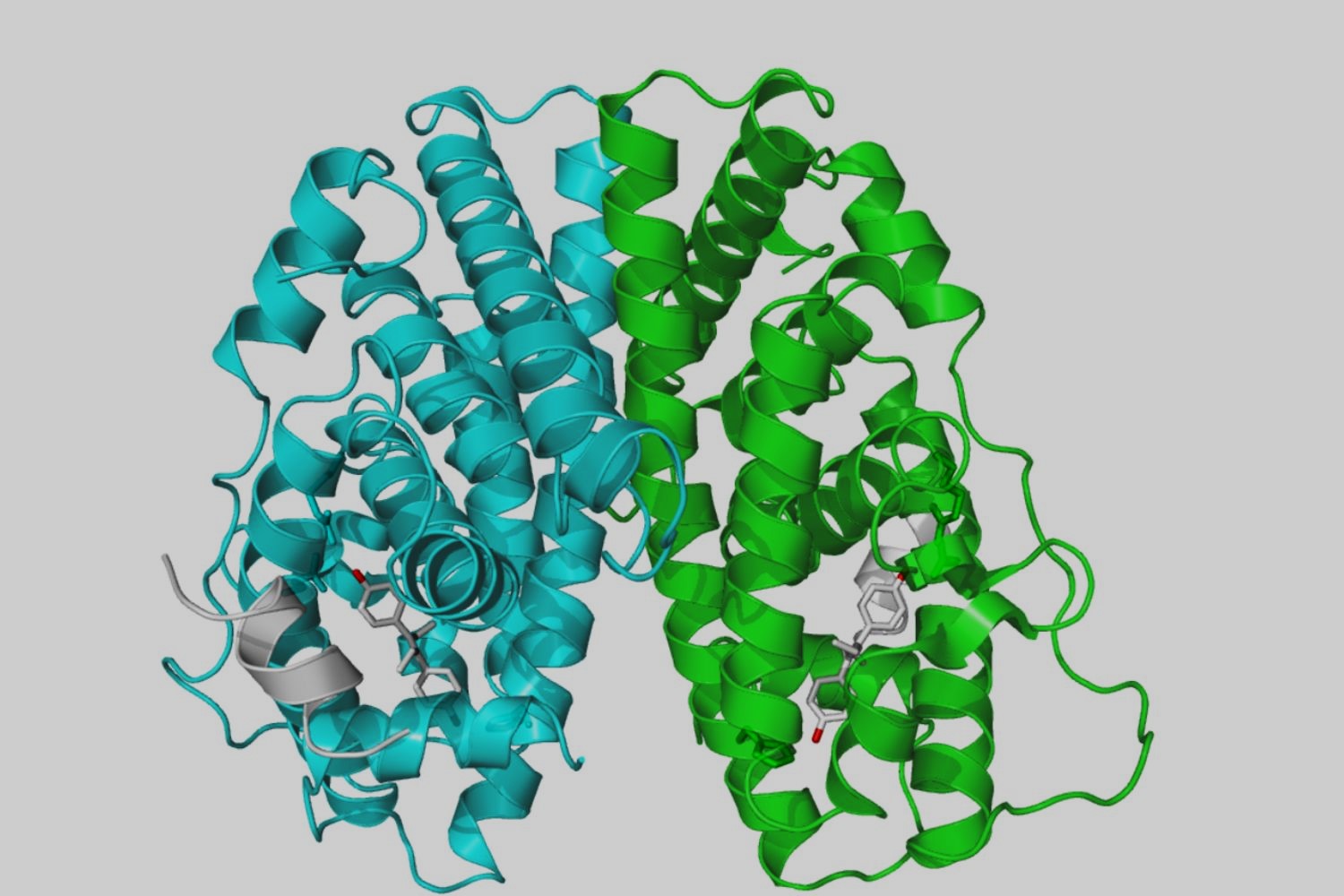 25-facts-about-mutations-in-estradiol-receptor