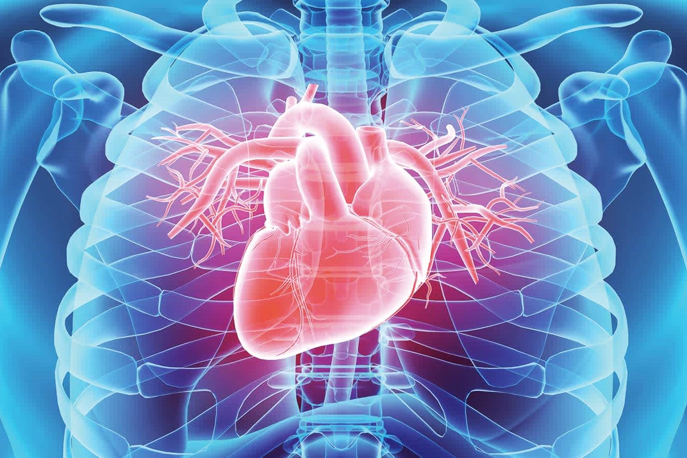 25-facts-about-myocardium-disorder