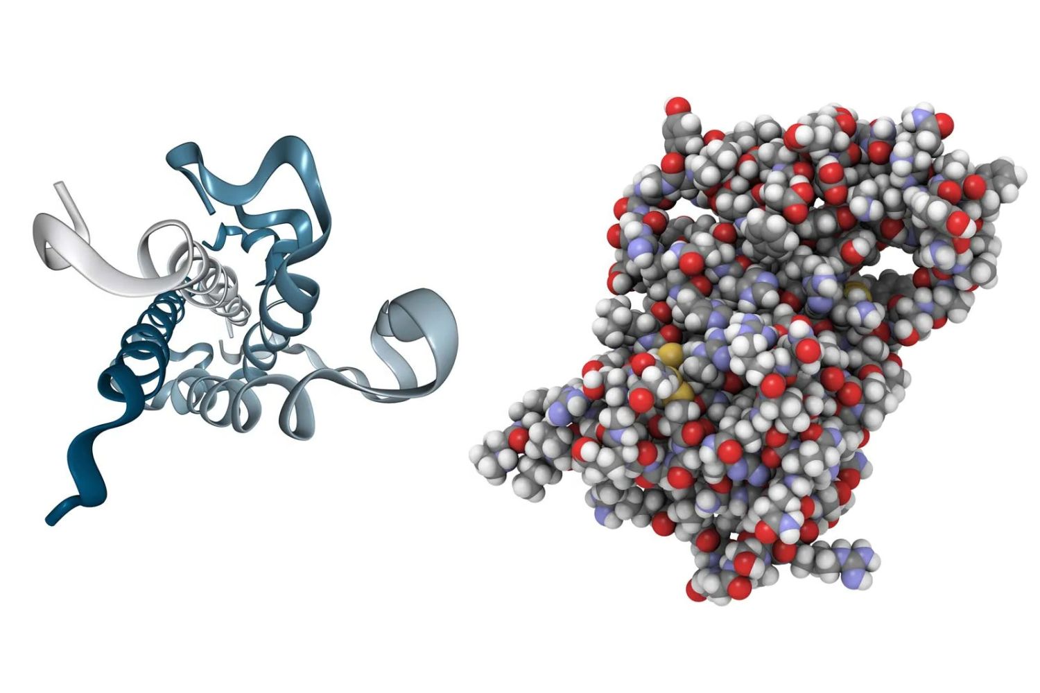 25-facts-about-peptidic-growth-factors-deficiency